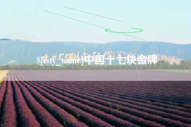 上海中国十七块金牌
