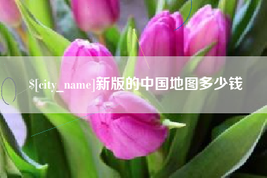 上海新版的中国地图多少钱