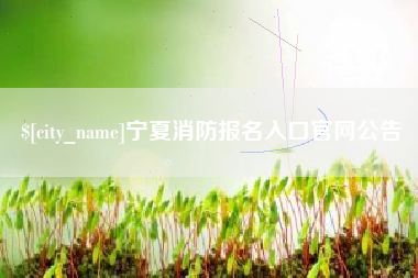 上海宁夏消防报名入口官网公告