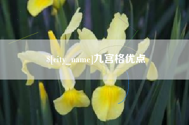 上海九宫格优点
