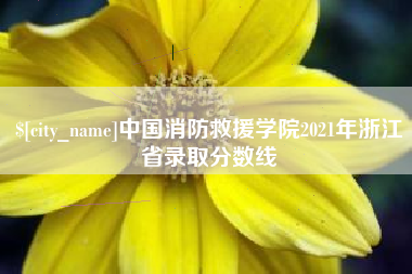 上海中国消防救援学院2021年浙江省录取分数线