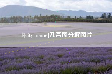 上海九宫图分解图片