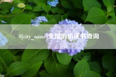 上海全国消防证书查询