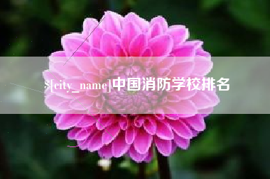 上海中国消防学校排名