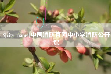 上海中国消防官网中小学消防公开课