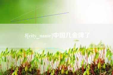 上海中国几金牌了