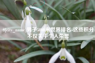 上海男子5000米世界排名-这些积分不仅关乎个人荣誉