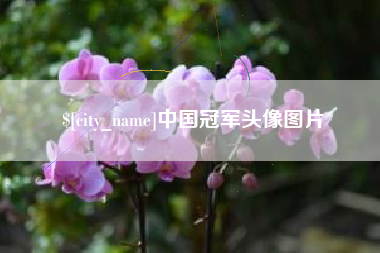 上海中国冠军头像图片
