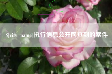上海执行信息公开网查到的案件
