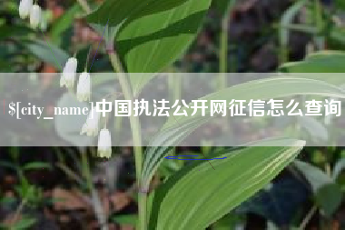 上海中国执法公开网征信怎么查询