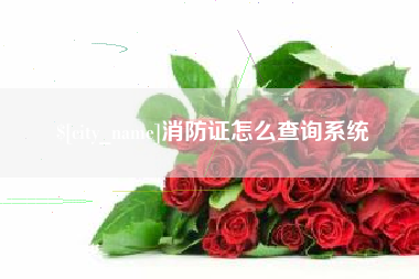 上海消防证怎么查询系统