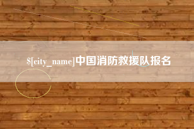 上海中国消防救援队报名