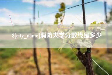 上海消防大学分数线是多少