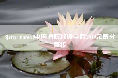 上海中国消防救援学院2019录取分数线