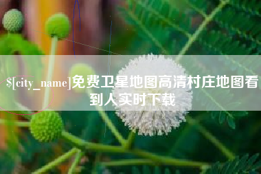 上海免费卫星地图高清村庄地图看到人实时下载