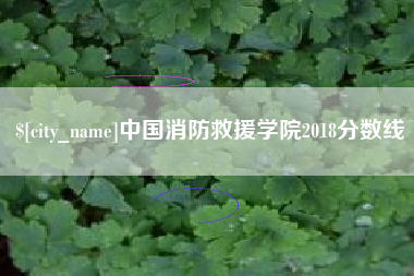上海中国消防救援学院2018分数线