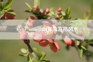 上海2021年九宫格风水