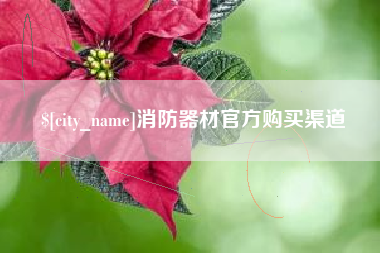 上海消防器材官方购买渠道