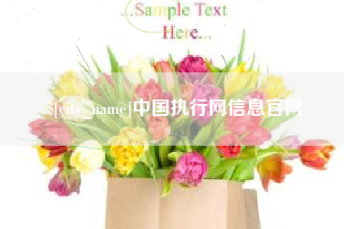 上海中国执行网信息官网