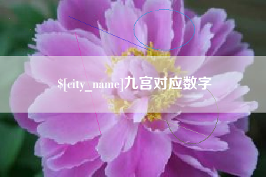 上海九宫对应数字