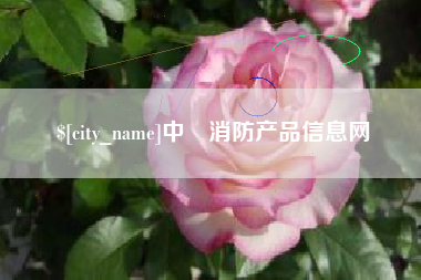 上海中囯消防产品信息网