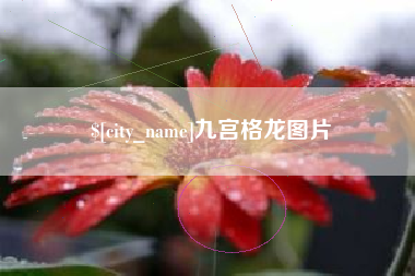 上海九宫格龙图片