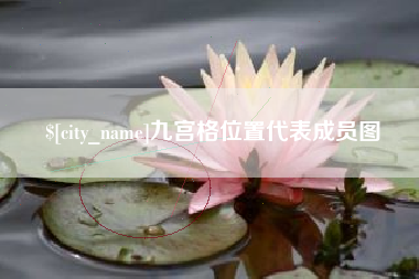 上海九宫格位置代表成员图