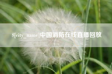 上海中国消防在线直播回放