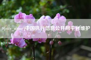 上海中国执行信息公开网平台维护