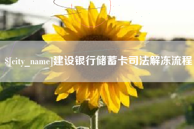 上海建设银行储蓄卡司法解冻流程