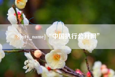 上海“中国执行公开网”