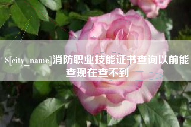 上海消防职业技能证书查询以前能查现在查不到