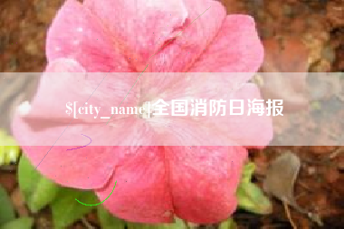 上海全国消防日海报