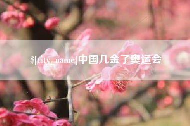 上海中国几金了奥运会