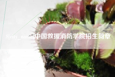 上海中国救援消防学院招生简章