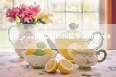 上海中国消防救援学院分数2020