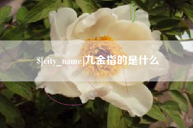 上海九金指的是什么