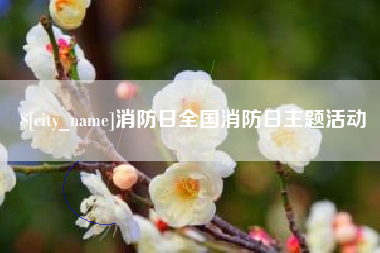 上海消防日全国消防日主题活动