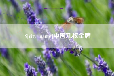 上海中国九枚金牌