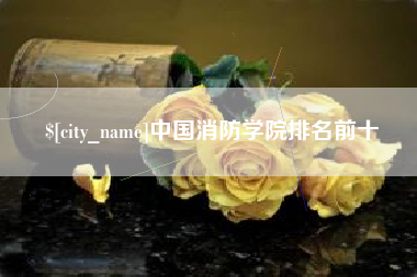 上海中国消防学院排名前十