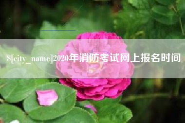 上海2020年消防考试网上报名时间