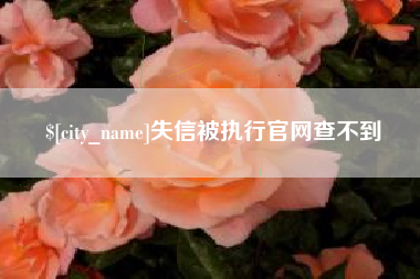 上海失信被执行官网查不到