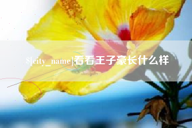 上海看看王子豪长什么样