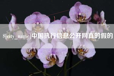 上海中国执行信息公开网真的假的