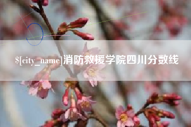 上海消防救援学院四川分数线