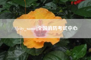 上海全国消防考试中心