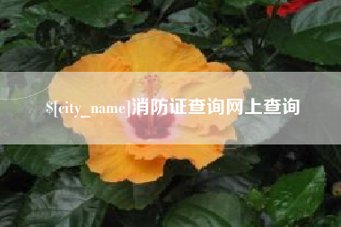 上海消防证查询网上查询