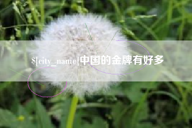 上海中国的金牌有好多
