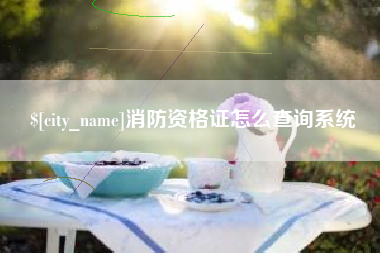上海消防资格证怎么查询系统