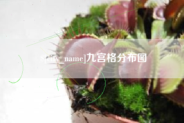 上海九宫格分布图